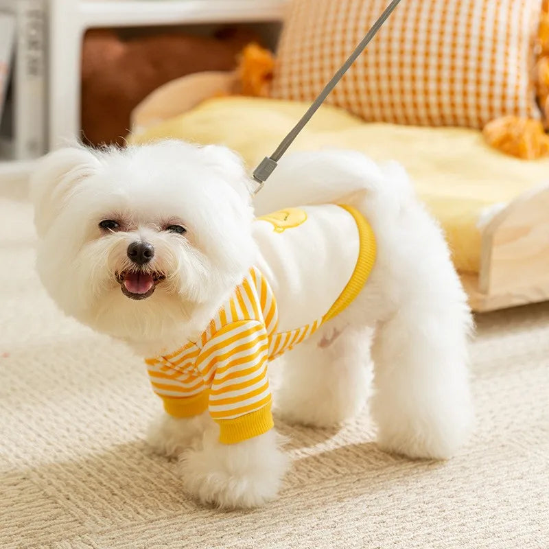 Autumn Winter Dog Hoodie