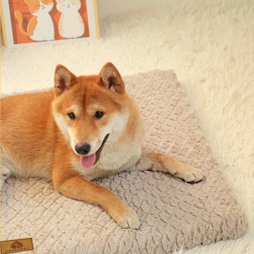 Orthopedic Foam Dog Bed with Faux Fur Cover