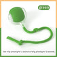 Dog Electronic pet ball