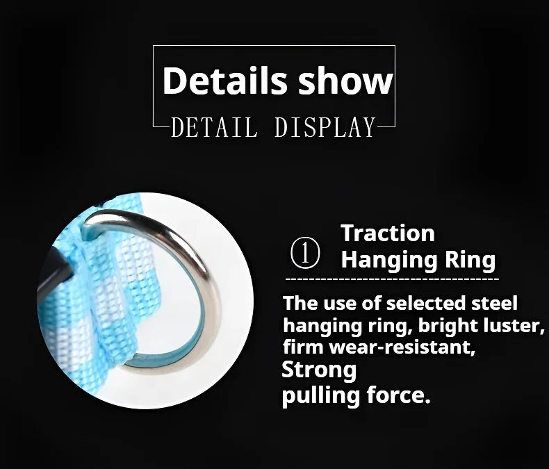 LED Nylon Dog Collar & Leash