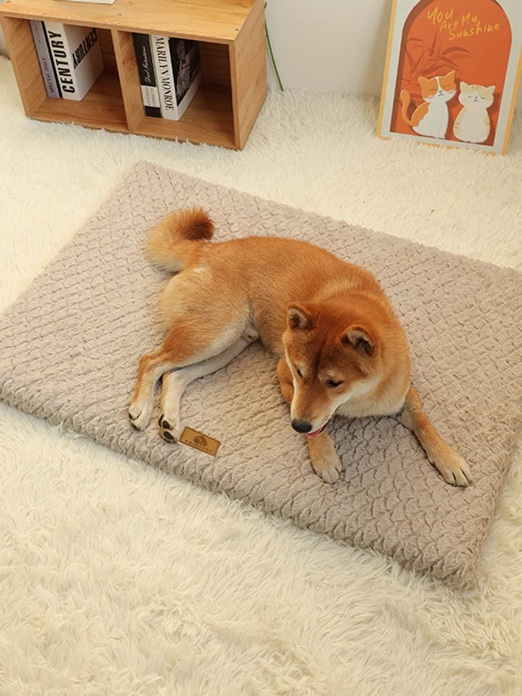 Orthopedic Foam Dog Bed with Faux Fur Cover