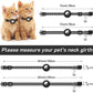 Cat Collar with Airtag & Bell