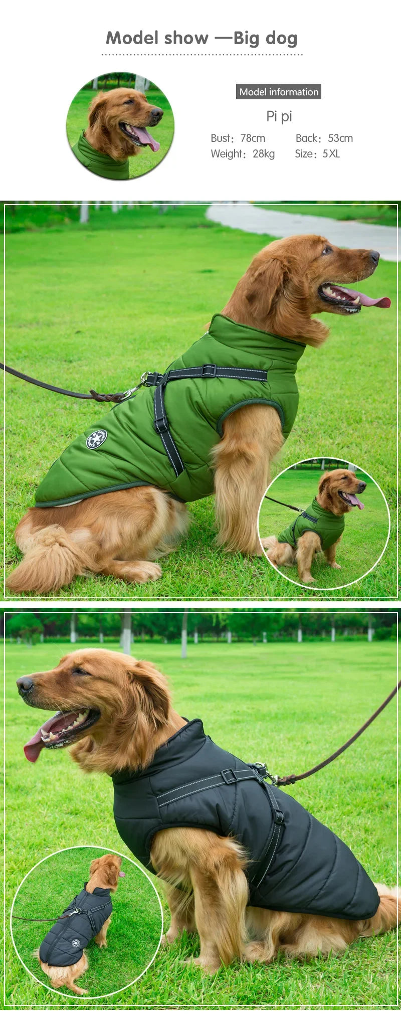 Large Dog Winter Jacket with Harness