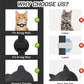 Cat Collar with Airtag & Bell
