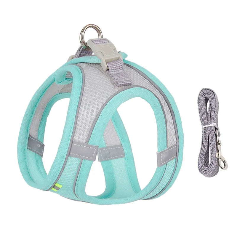 Puppy Harness Set