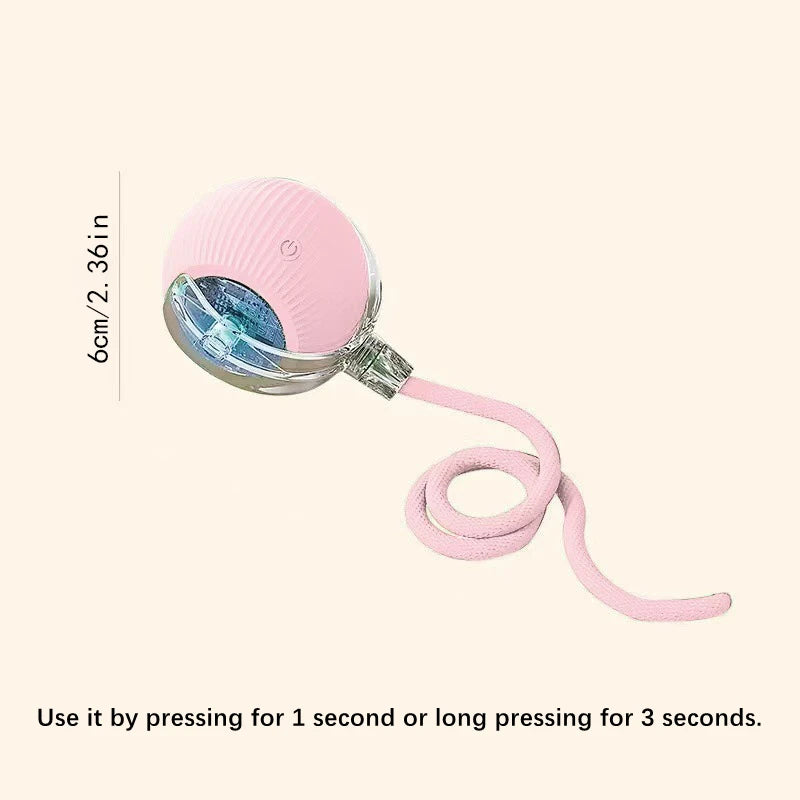 Dog Electronic pet ball