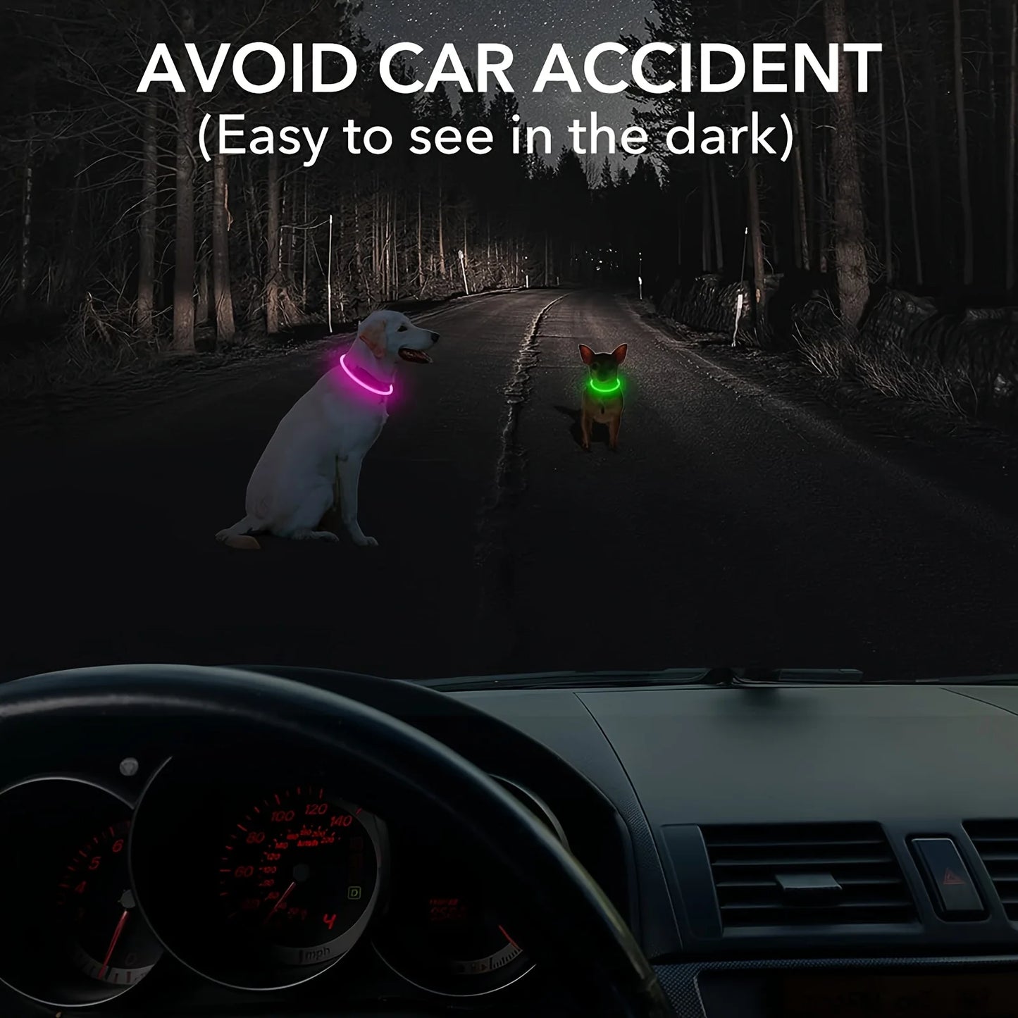 LED Rechargeable Dog Collar