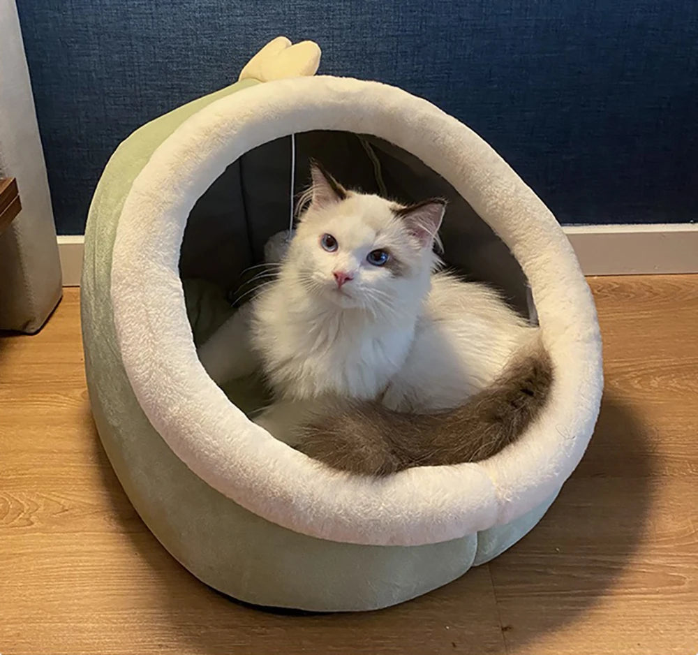 Cartoon Foldable Cat & Small Dog Bed