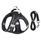 Puppy Harness Set