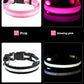 LED Nylon Dog Collar & Leash