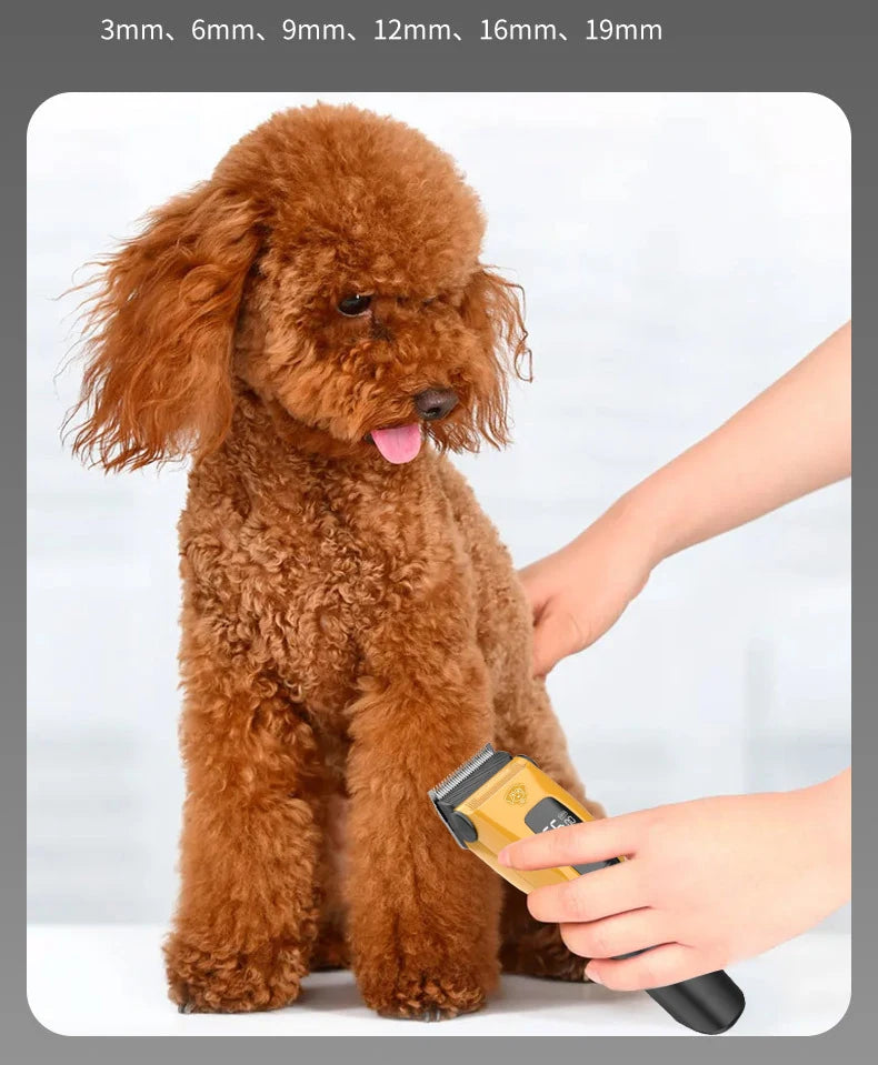 Professional Electric Pet Hair Trimmer