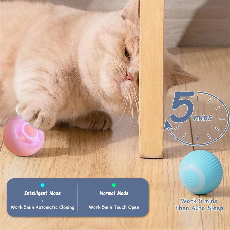 Dog Electronic pet ball
