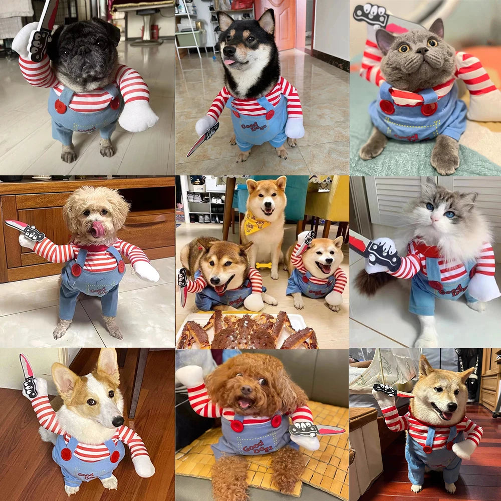 Halloween Dog & Cat Costume
