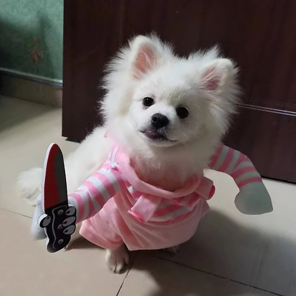 Halloween Dog & Cat Costume