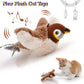 Electric Catnip Pat Bird Toy