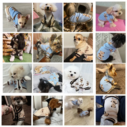 Luxury Striped Dog & Cat Sweater