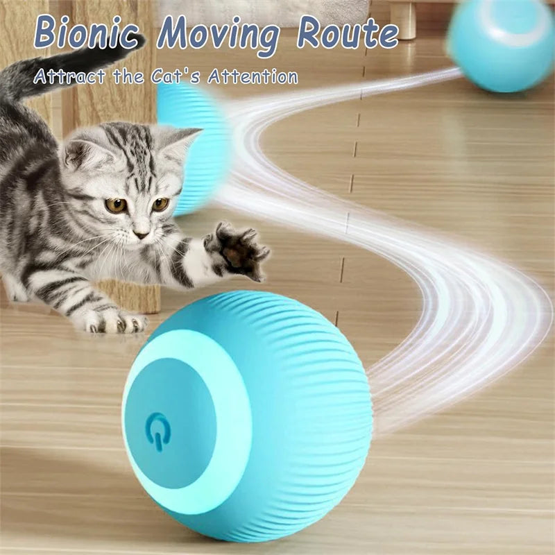 Dog Electronic pet ball