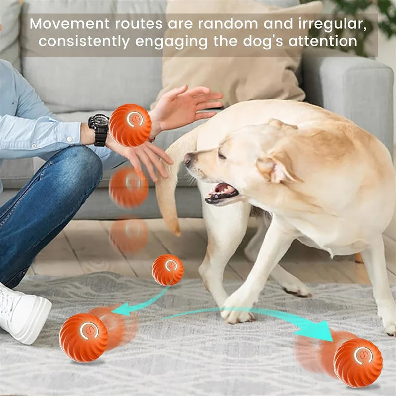 Dog Electronic pet ball