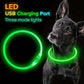 LED Rechargeable Dog Collar