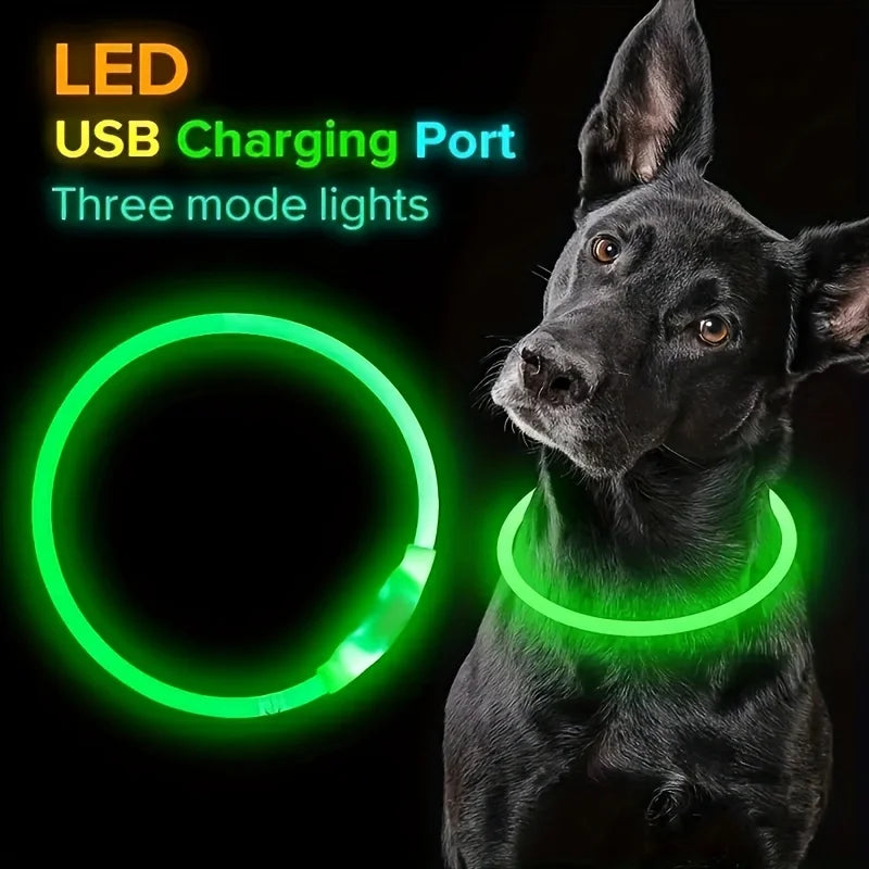 LED Rechargeable Dog Collar