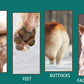 Electric Dog Grooming Clippers