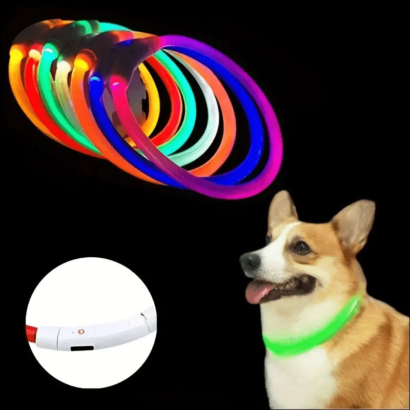 LED Rechargeable Dog Collar
