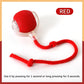 Dog Electronic pet ball