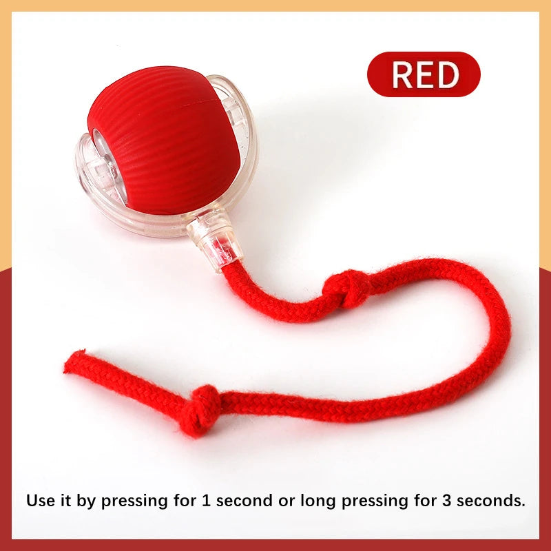 Dog Electronic pet ball