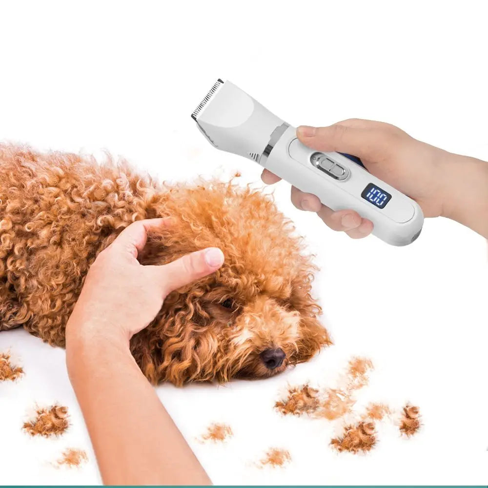 Electric Dog Grooming Clippers